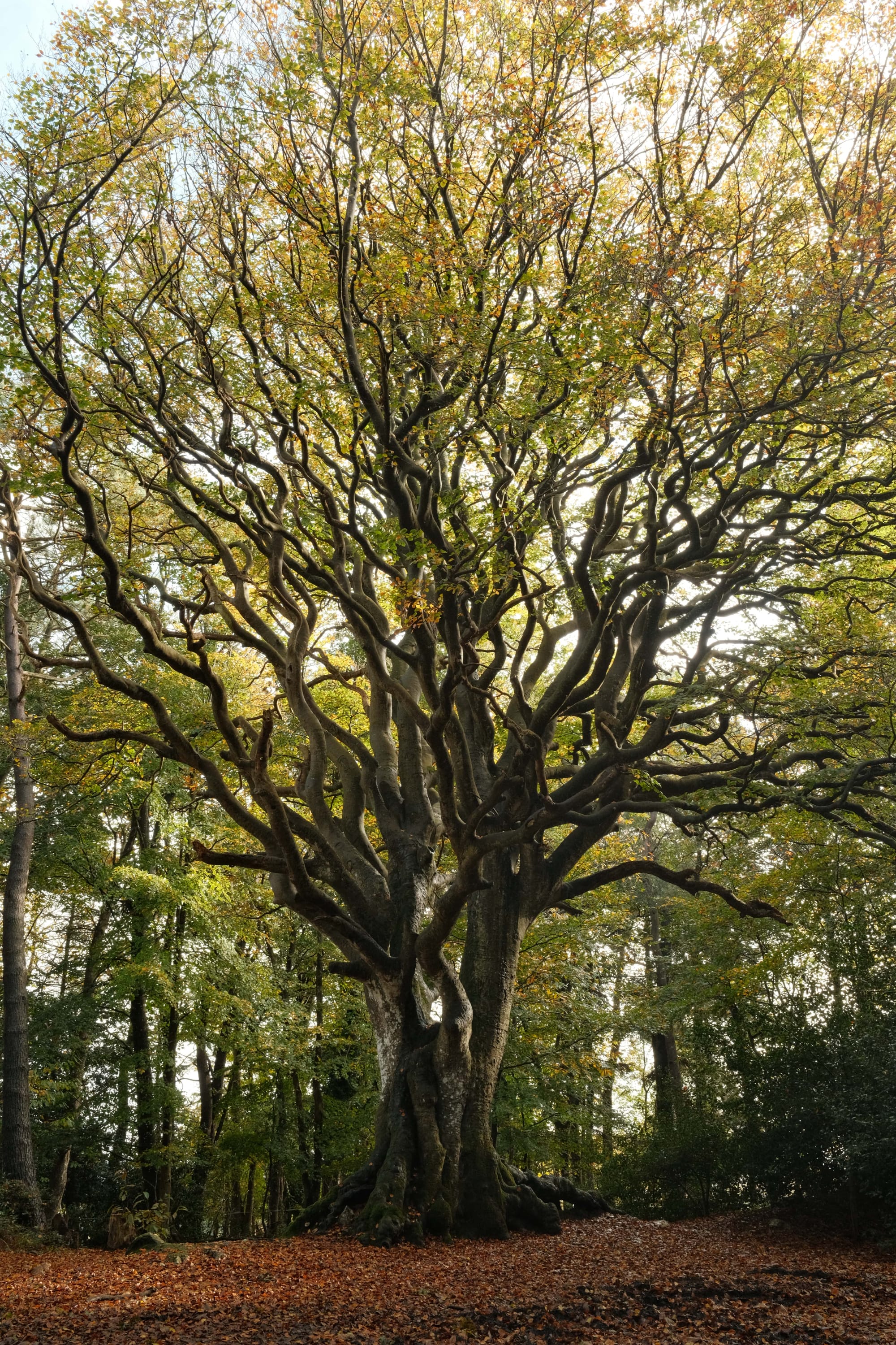 Bretagne im Winter: Dein Guide für einen tollen Urlaub