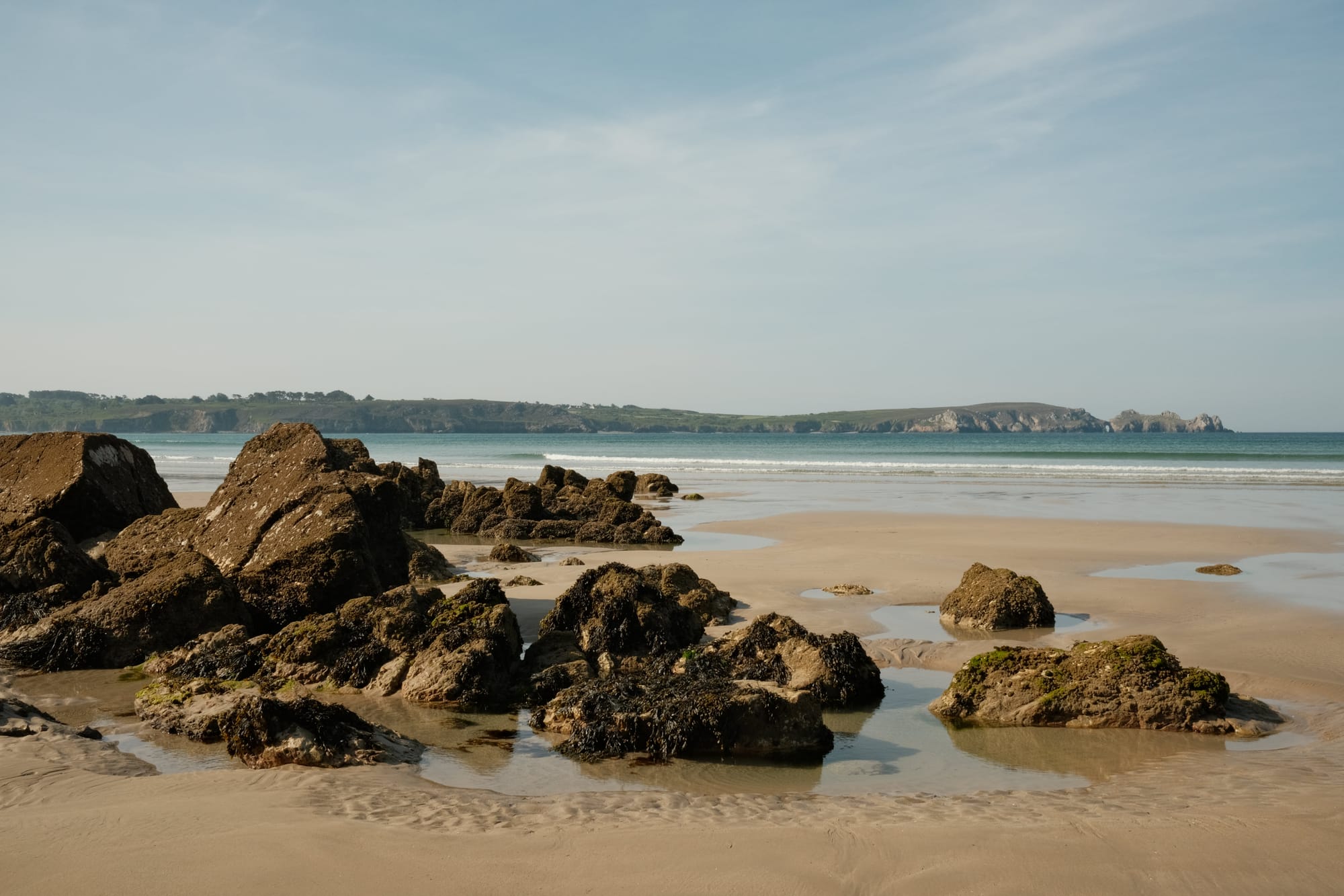 Bei Ebbe ist das Risiko mit Petermännchen am höchsten