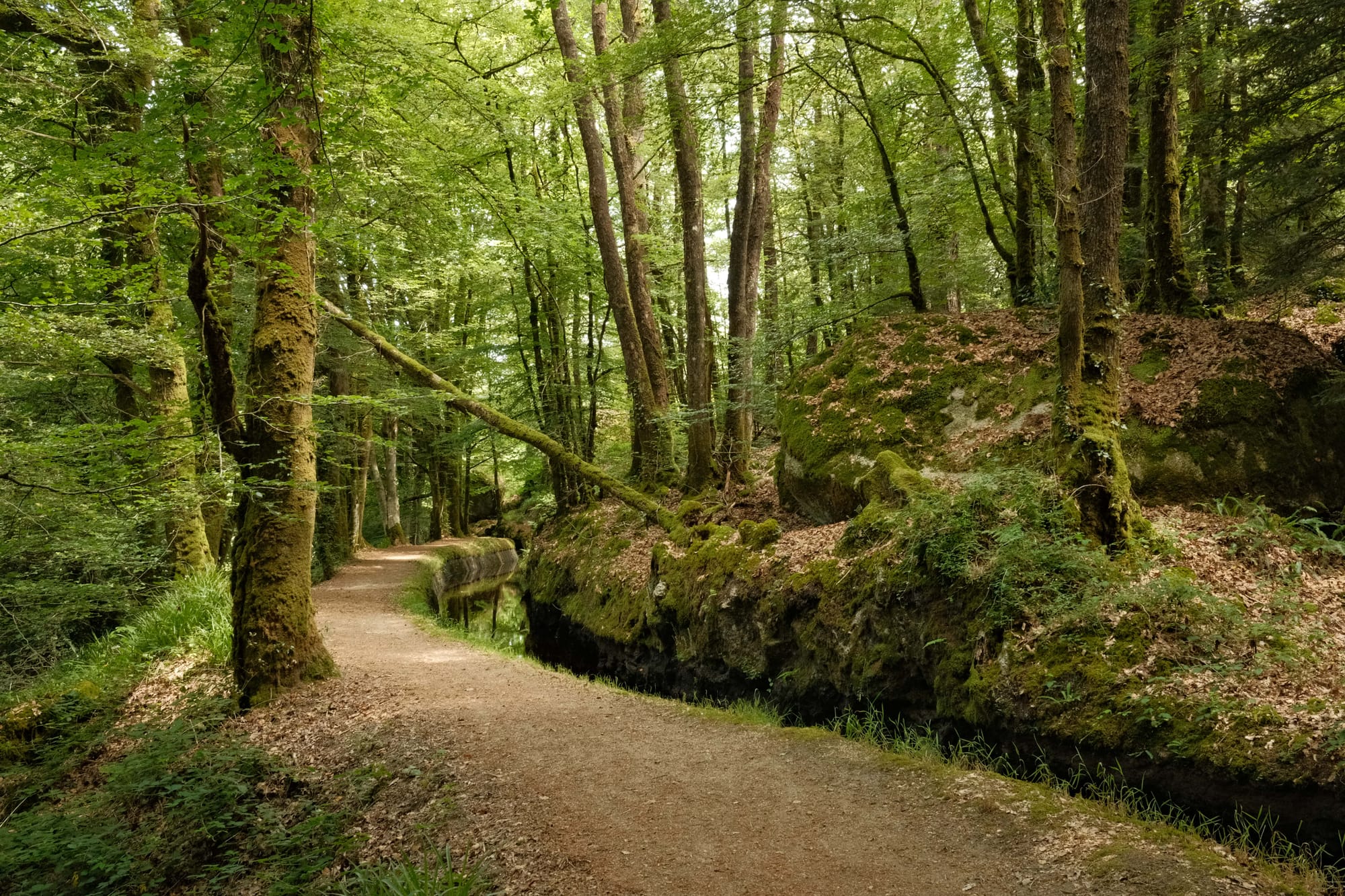 Spaziergang bei Huelgoat