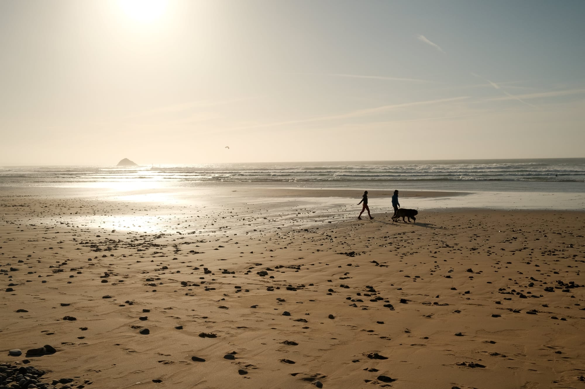 Hund am Strand in der Bretagne