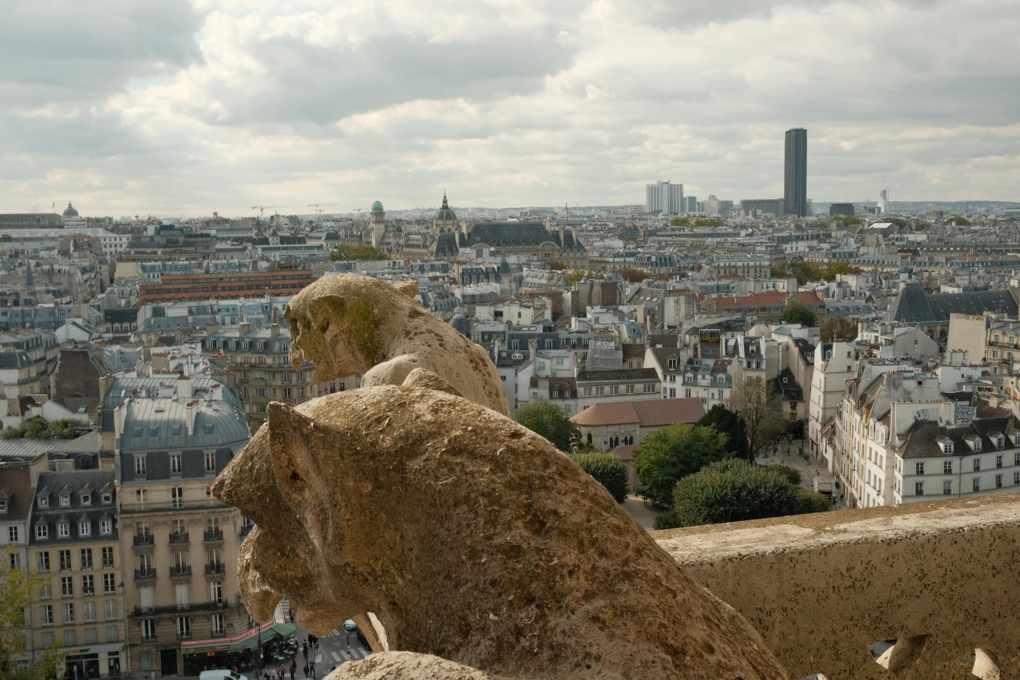 Blick auf dem Tour Montparnasse aus dem Turm von Notre-Dame