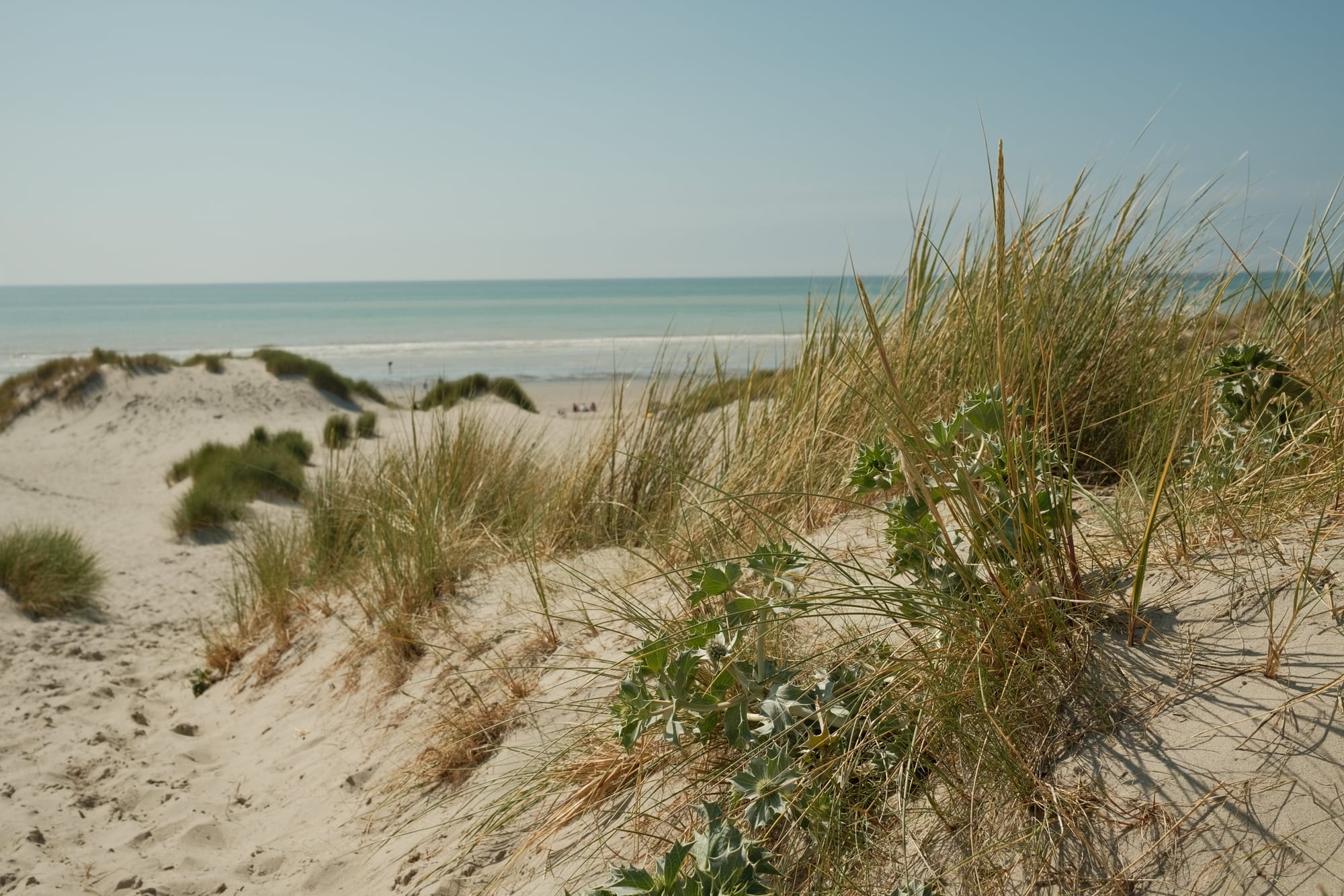Ruhig & authentisch am Meer in Nordfrankreich