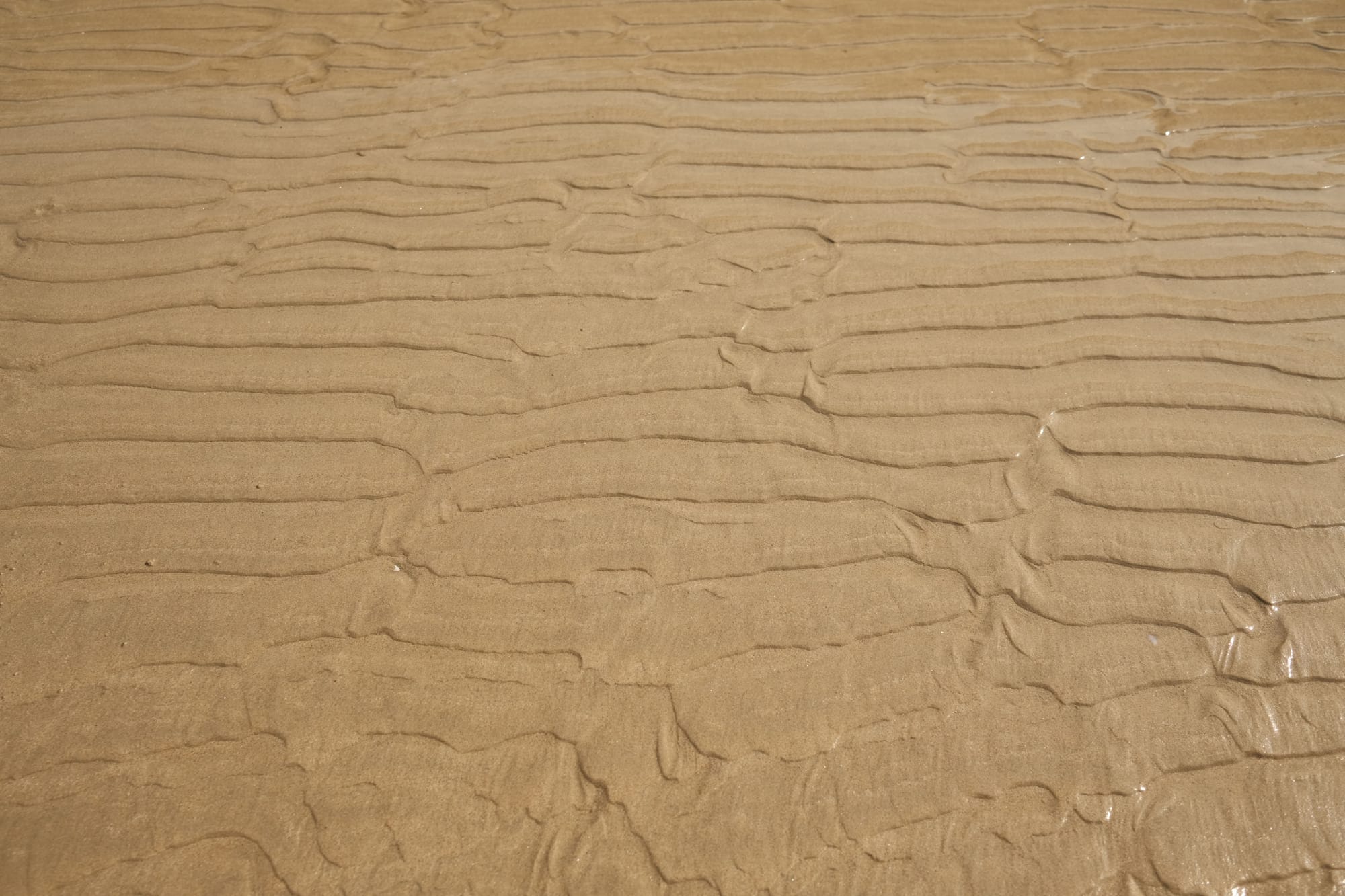 In der Bretagne sind die Gezeiten besonders stark