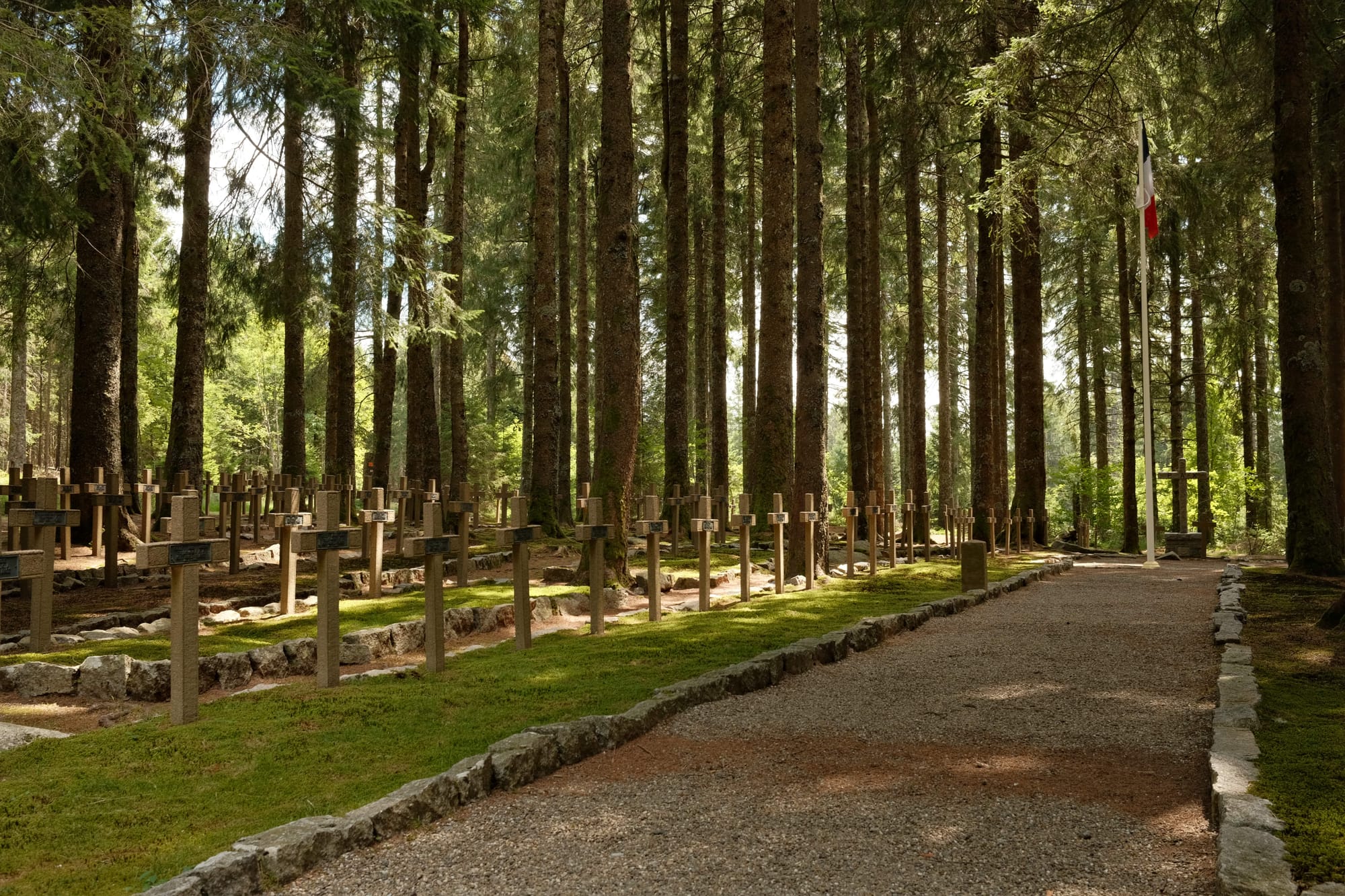 Elsass lässt sich gut im Frühling besuchen