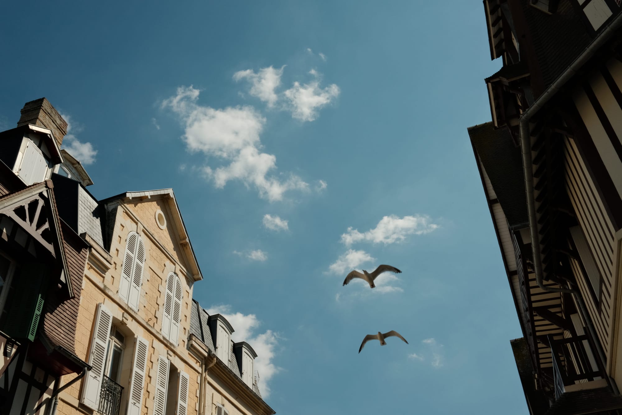 Ich persönlich sehe am französischen Himmel häufiger Möwen als Glocken, und selten sind es Schokoladen, die sie auf uns herabfallen lassen.