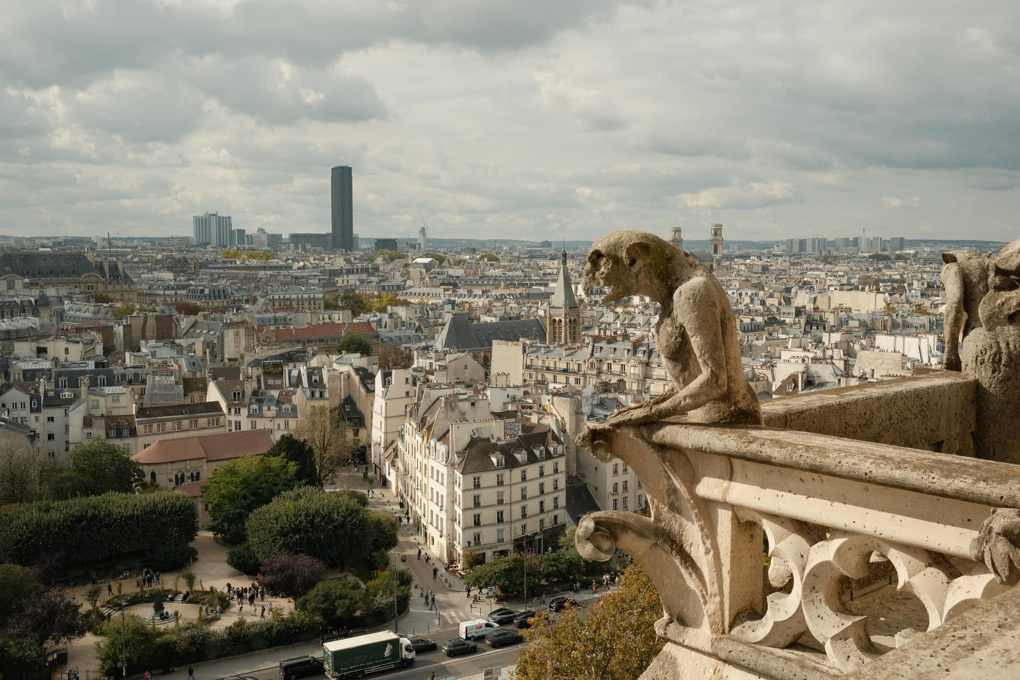 Blick aus den Türmen von Notre Dame de Paris