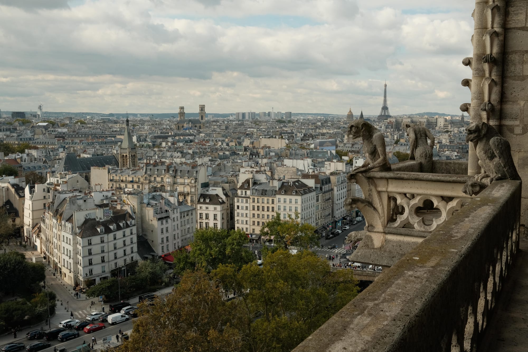 Blick auf Paris vom Notre-Dame Turm aus