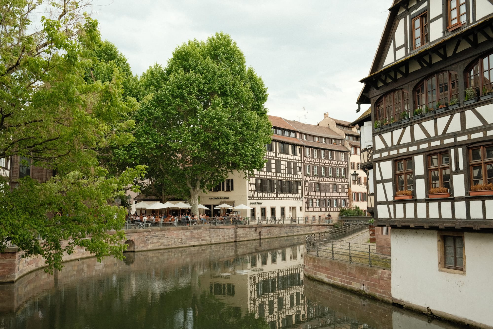 Die größten Herausforderungen im heutigen Elsass