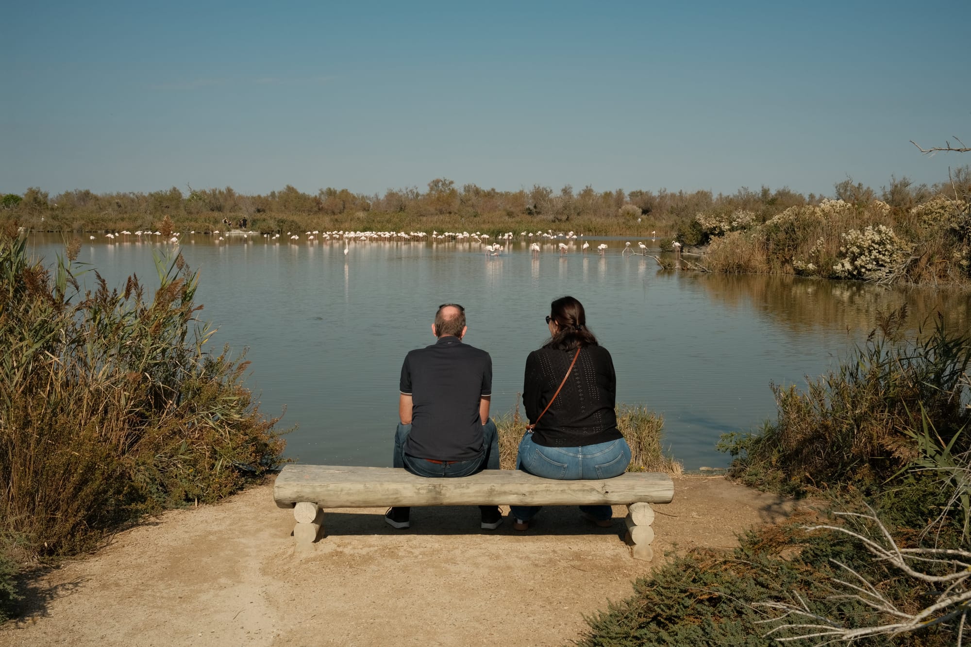 Camargue im September