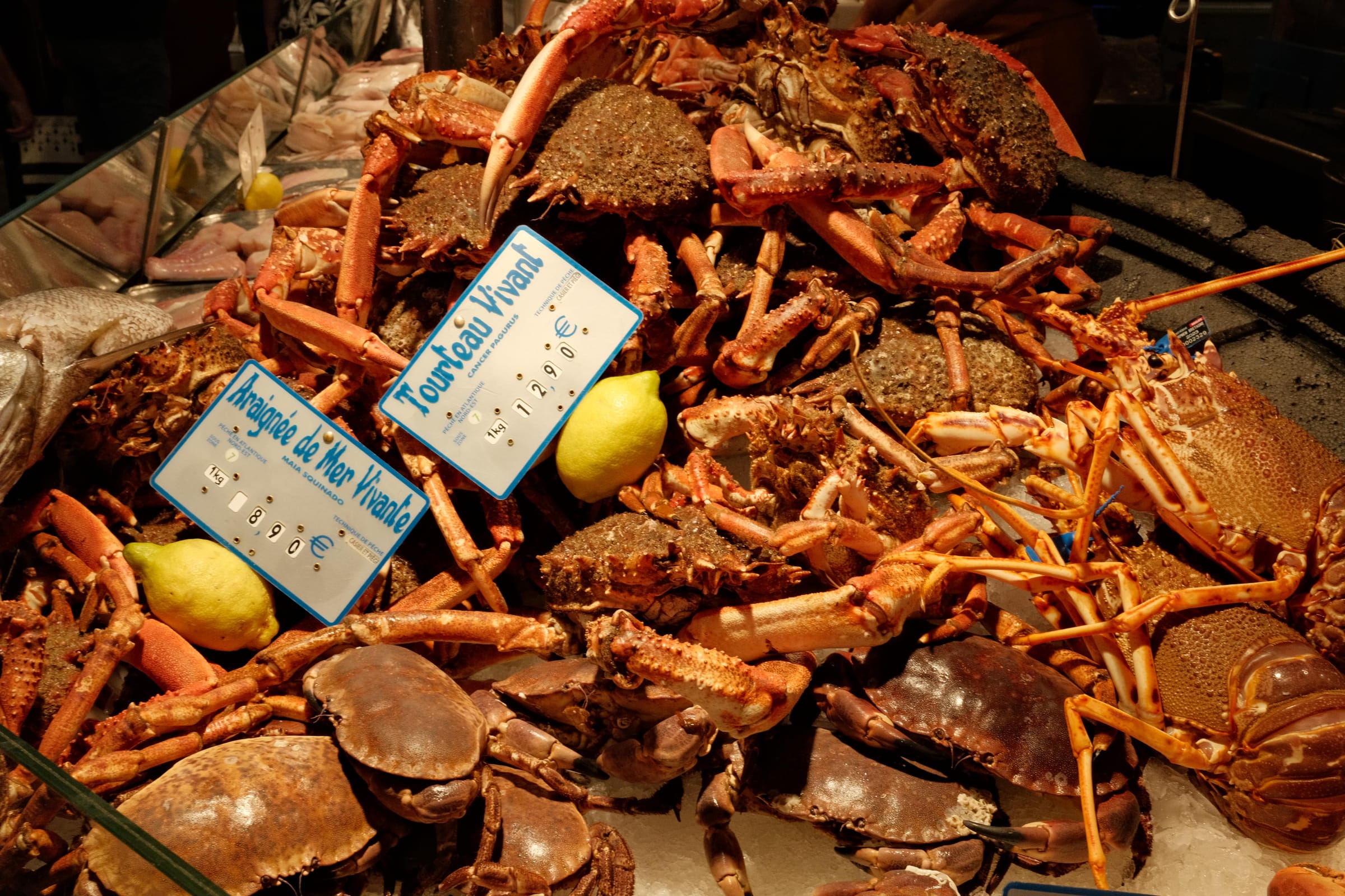 Bretagne im September: Reisezeit schon vorbei?